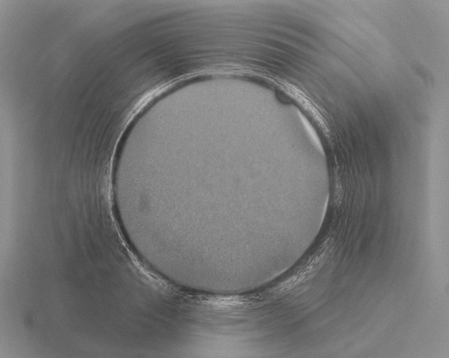 X0000115450845200912161513