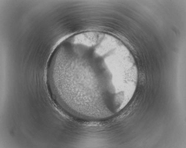 X0000115450846200912161513