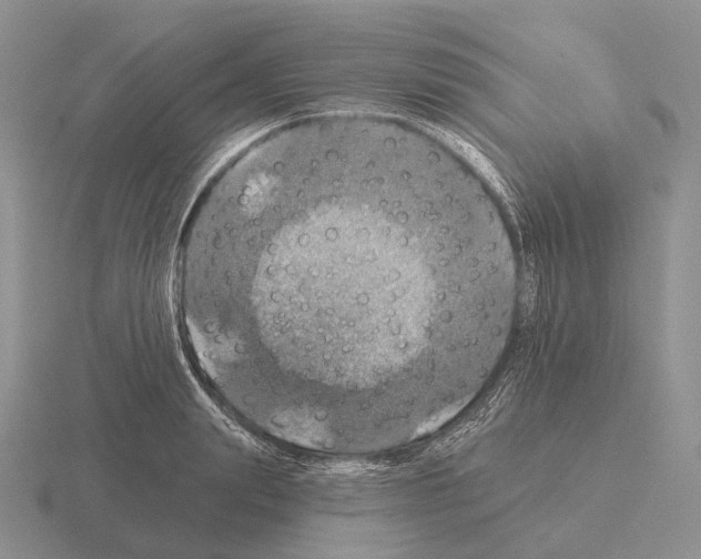 X0000115450847200912161513