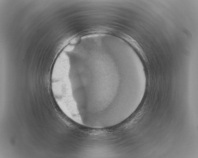 X0000115450850200912161513