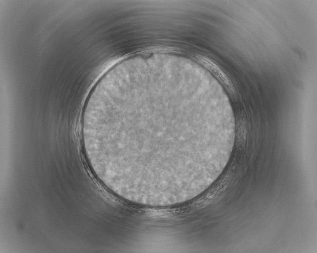 X0000115450852200912161513