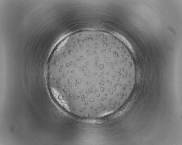 X0000115450855200912161513