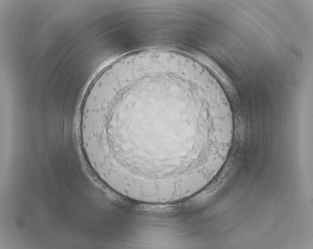 X0000115450856200912161513