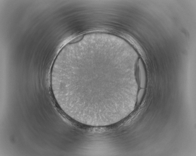 X0000115450858200912161513