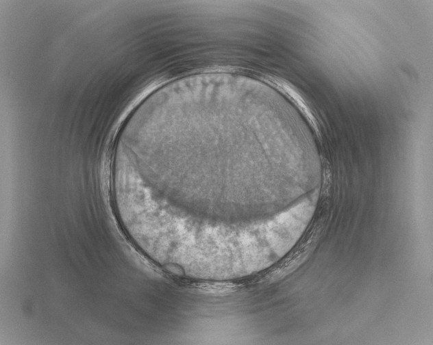 X0000115450859200912161513