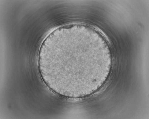 X0000115450860200912161513