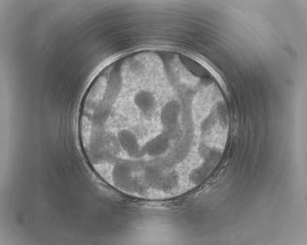 X0000115450861200912161513