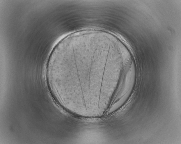 X0000115450862200912161513