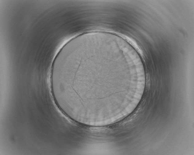 X0000115450863200912161513