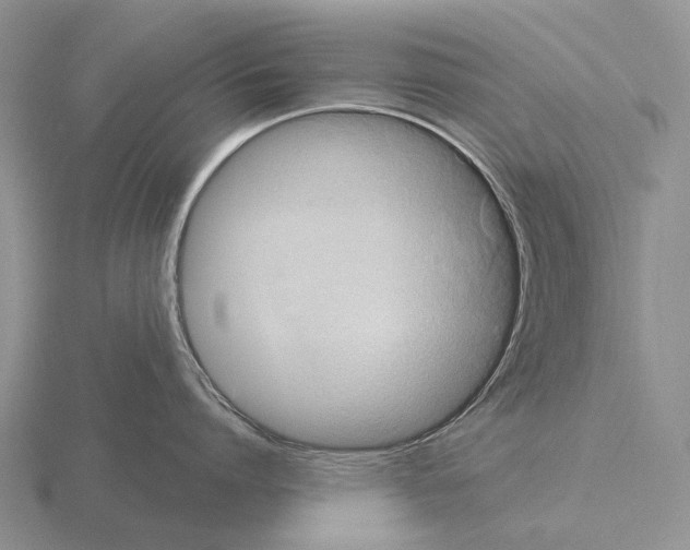 X0000115450864200912161513