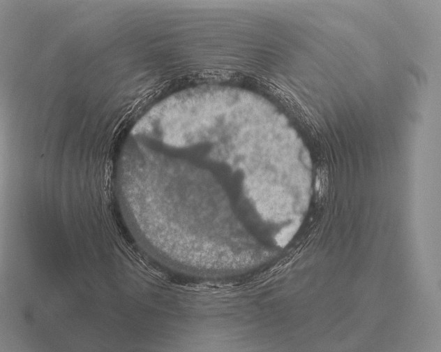 X0000115450867200912161512