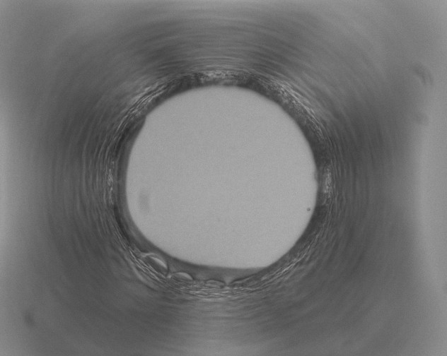 X0000115450868200912161512