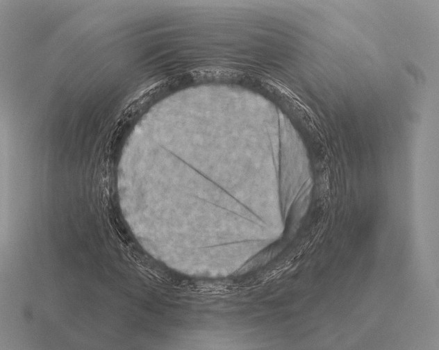 X0000115450870200912161512