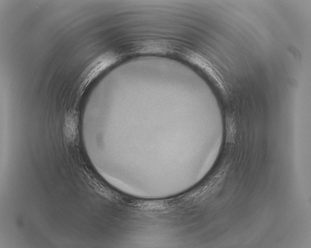 X0000115450874200912161512