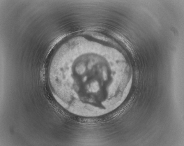 X0000115450875200912161512