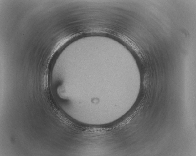 X0000115450877200912161512