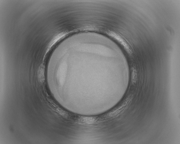 X0000115450878200912161512