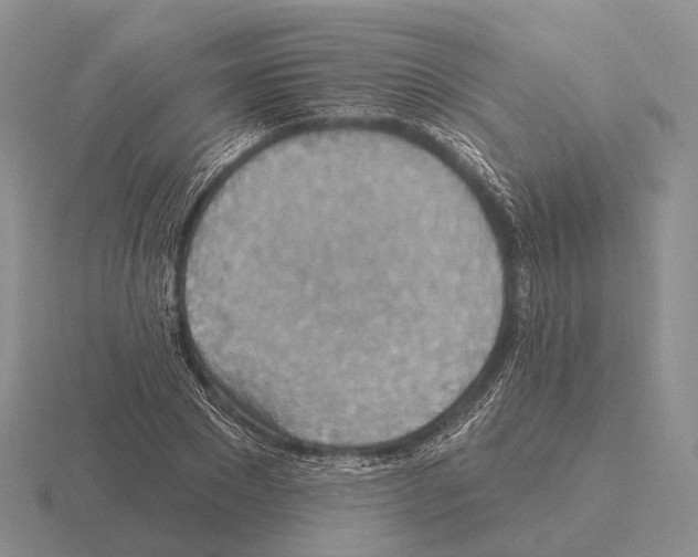 X0000115450881200912161512