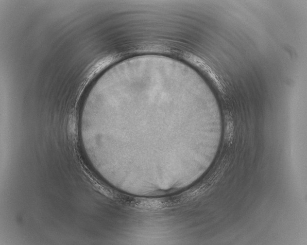 X0000115450882200912161512