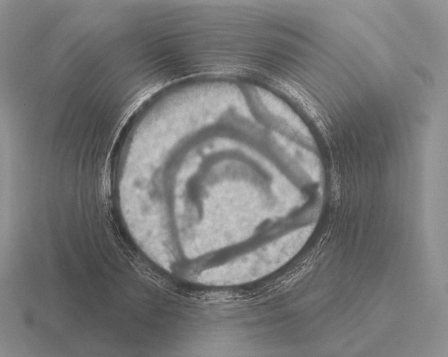 X0000115450883200912161512