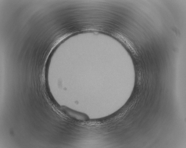 X0000115450884200912161512