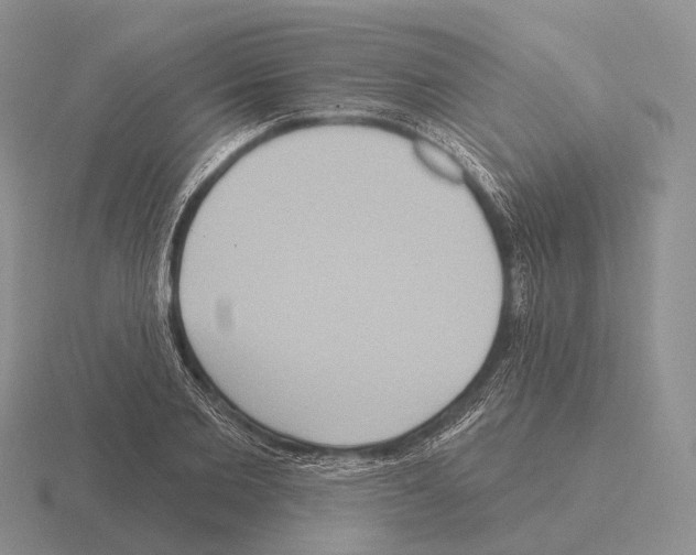 X0000115450885200912161512