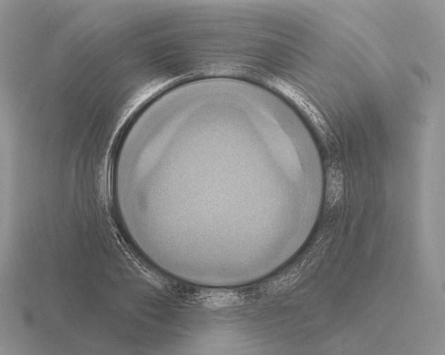 X0000115450886200912161512