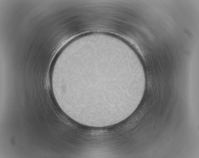 X0000115450887200912161512