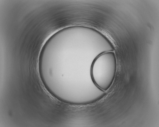 X0000115450888200912161512