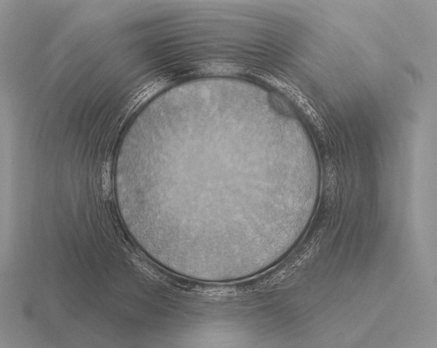 X0000115450889200912161512