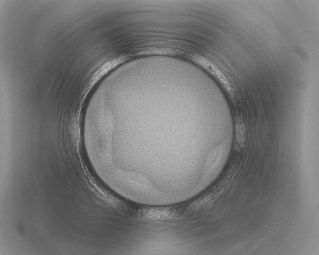 X0000115450890200912161512