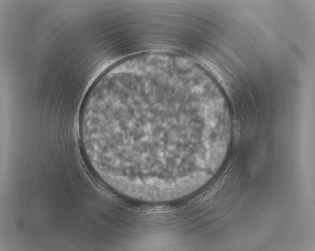 X0000115450891200912161512