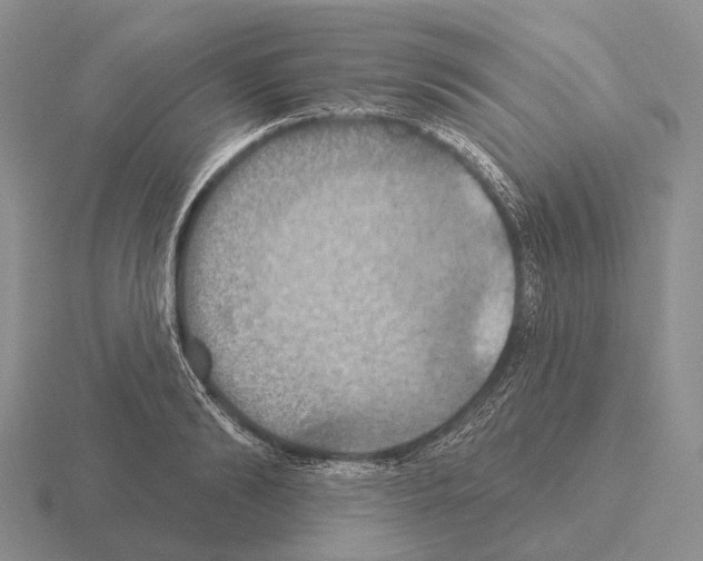 X0000115450894200912161512