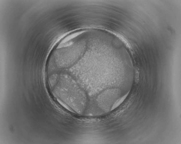 X0000115450895200912161512