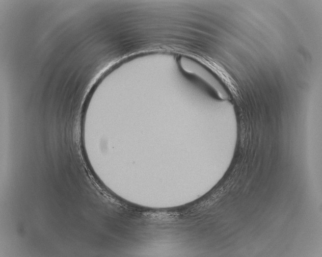 X0000115450896200912161512