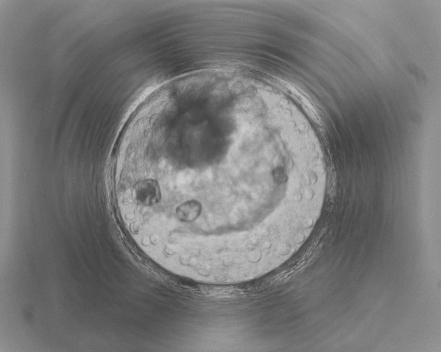 X0000115450899200912161512