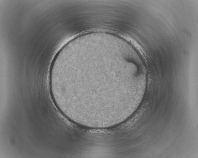 X0000115450902200912161512