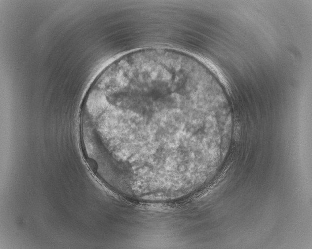 X0000115450903200912161512