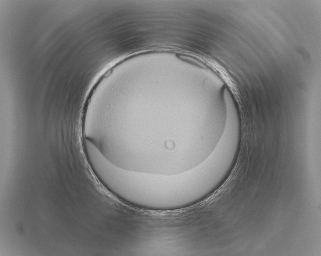 X0000115450904200912161512