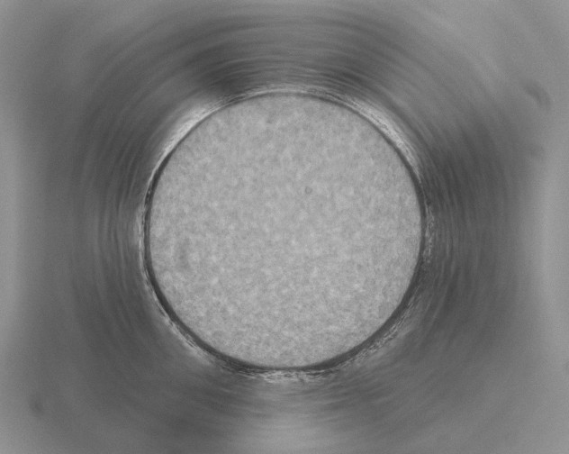 X0000115450906200912161512