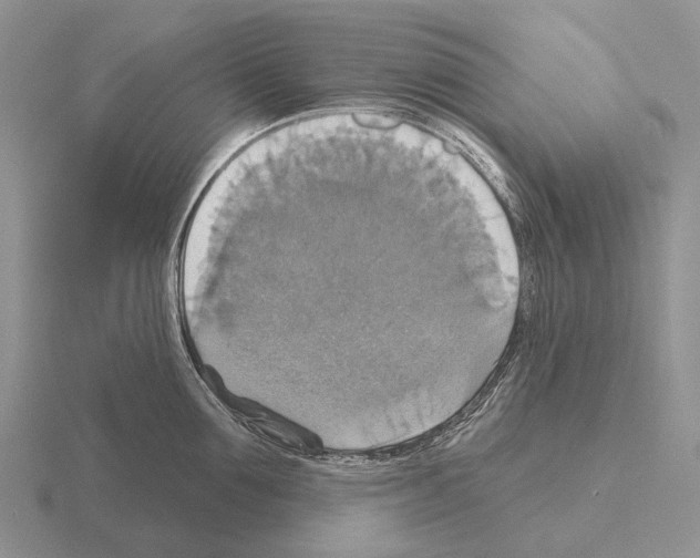 X0000115450907200912161512