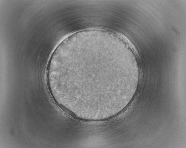 X0000115450908200912161512