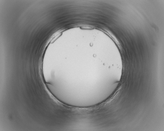 X0000115450909200912161512