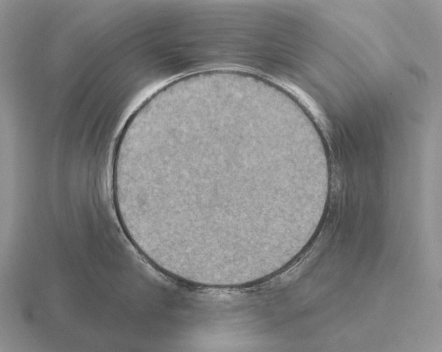 X0000115450910200912161512