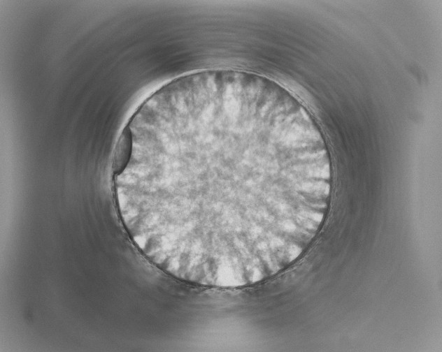 X0000115450912200912161511