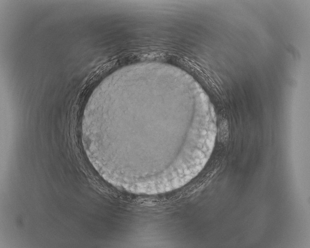 X0000115450913200912161511