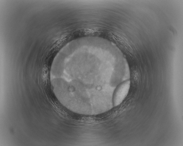 X0000115450914200912161511