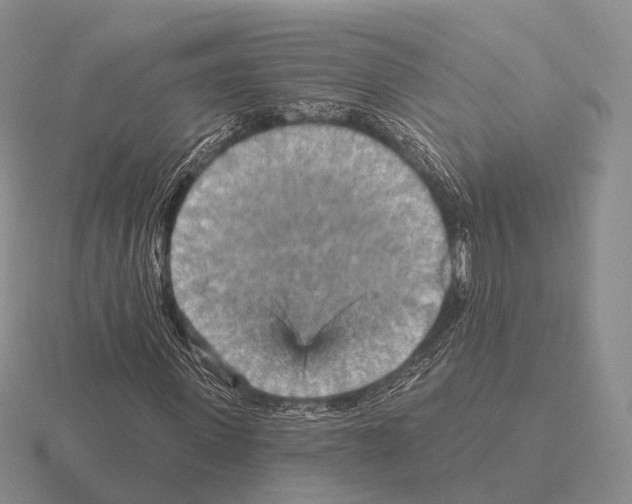 X0000115450915200912161511