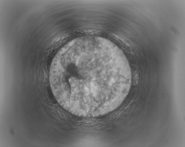 X0000115450917200912161511