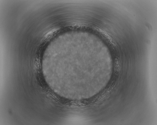 X0000115450918200912161511